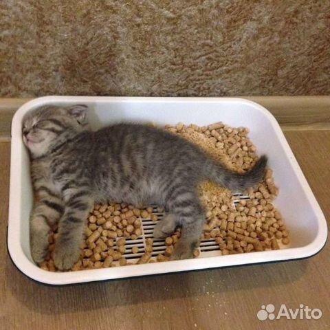 Древесный наполнитель 37л