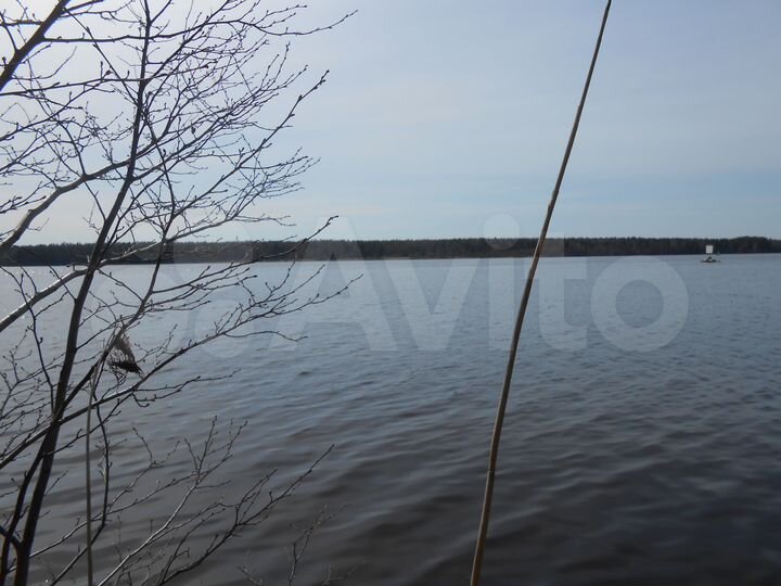 Участок 2 га (СНТ, ДНП)