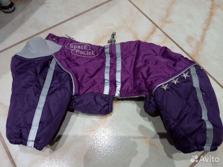 Одежда для маленьких собак