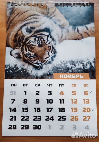 Календарь настенный 2022 год с тиграми