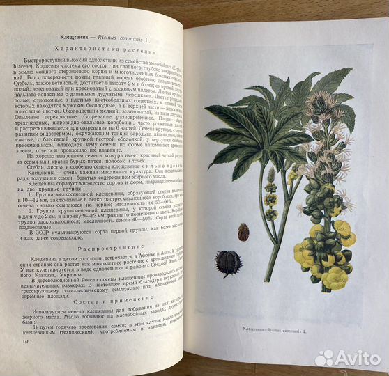 Книга «Лекарственные растения» Землинский 1958