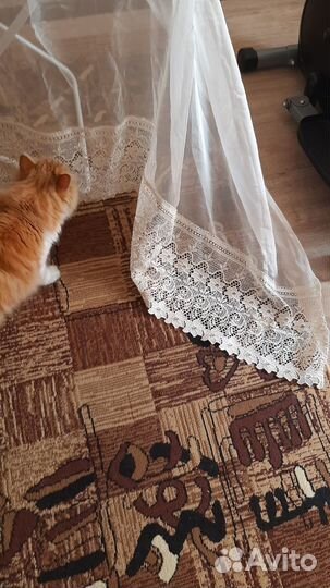 Продаю кухонные шторы