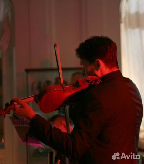Скрипач на мероприятие, профессиональный звук