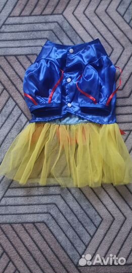 Одежда для маленьких собачек