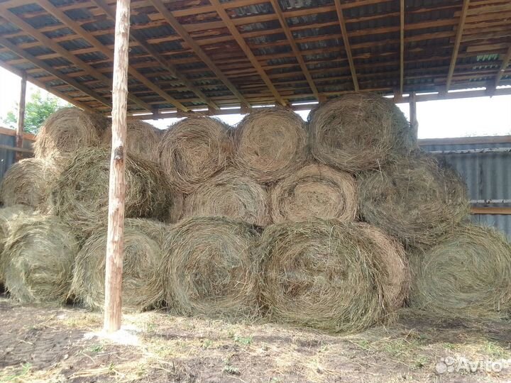 Сено люцерны и луговое в тюках
