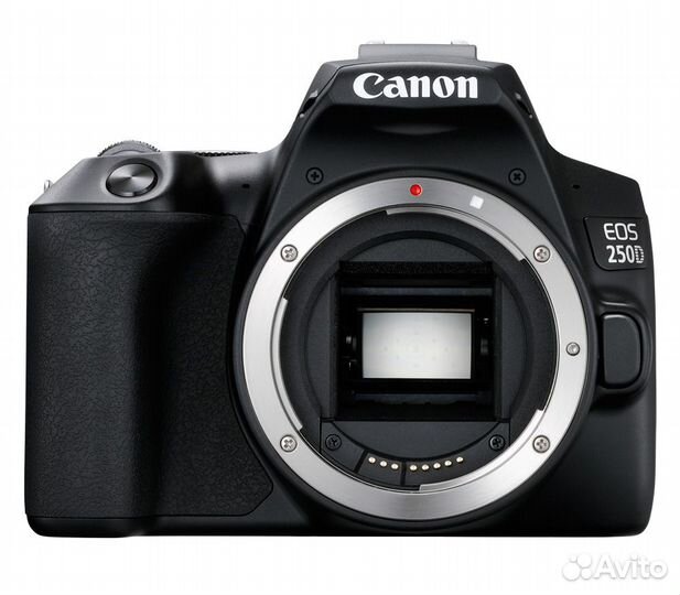 Зеркальный фотоаппарат Canon EOS 250D Kit EF-S 18-55 DC III