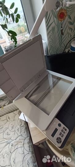 Принтер Pantum CM1100DN