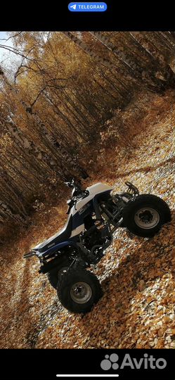 Квадроцикл Irbis atv 250s