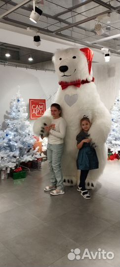 Белый розовый мишка поздравление ростовой медведь