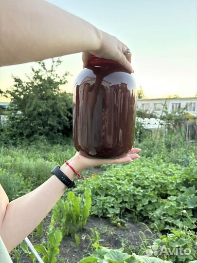 Мёд с личной пасеки