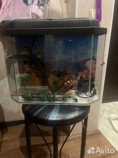 Аквариум