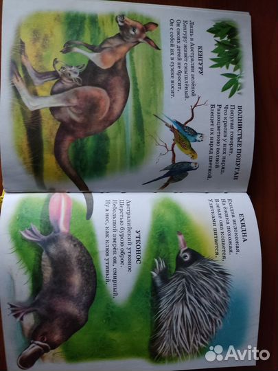 Книга Степанов 