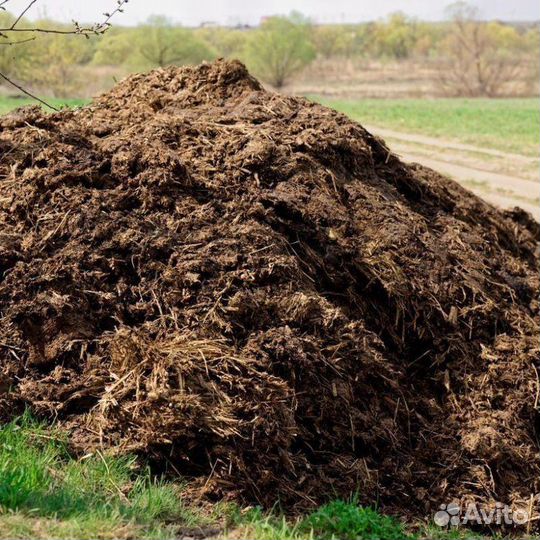 Навоз перегной