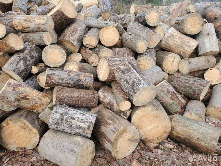 Дрова, сосна/листвяк