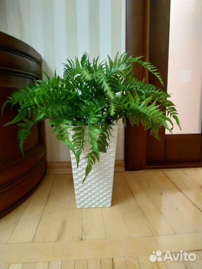 Искусственное дерево папоротник,композиция в кашпо