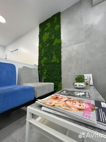 Вертикальное озеленение мхом