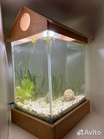 Аквариум