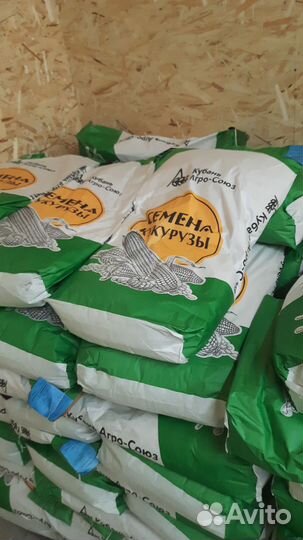 Семена кукурузы