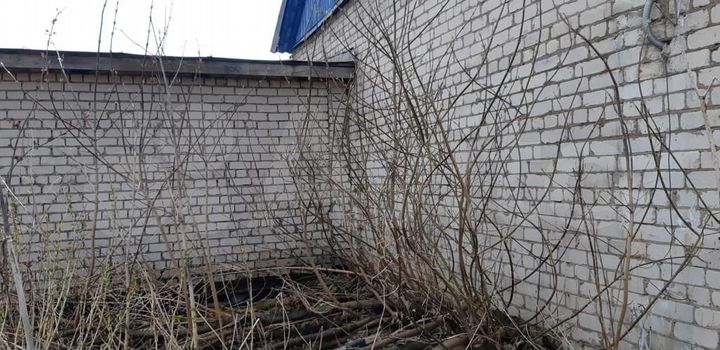 Здание, 97.2 м²