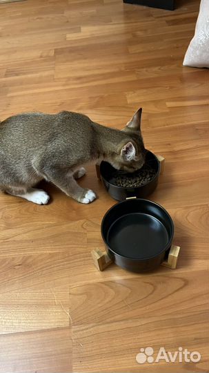 Миска двойная керамическая на подставке из бамбука