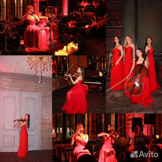 Услуги фотографа