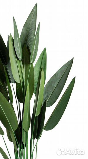 Озеленение помещений искусственными растениями