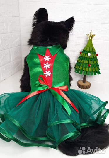 Одежда для собак