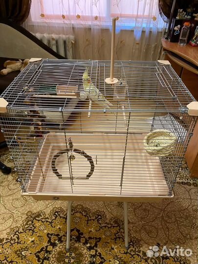 Попугай с клеткой