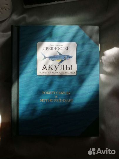 Энциклопедия древностей акулы сабуда