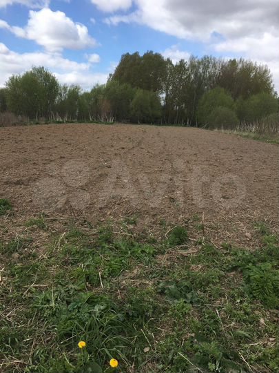 Участок 13 сот. (СНТ, ДНП)