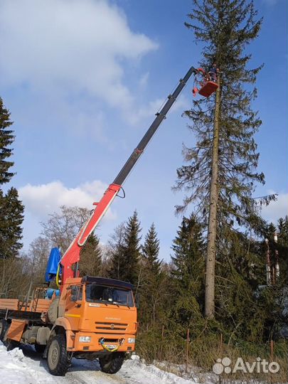 Услуги автовышки