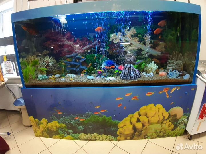 Обслуживание(чистка) аквариумов, установка, переус