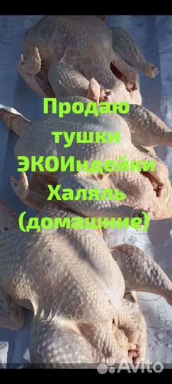 Тушки Индейки