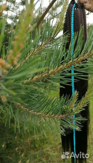 Съемный хвост