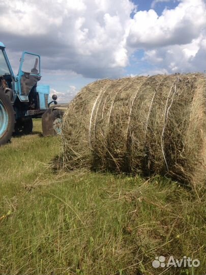 Сено в рулонах с доставкой