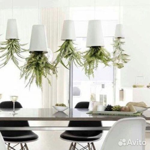 Sky planter растения акробаты, подвесной букет
