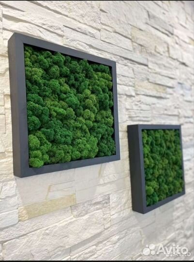 Квадратные полки со мхом/ декорация настенная