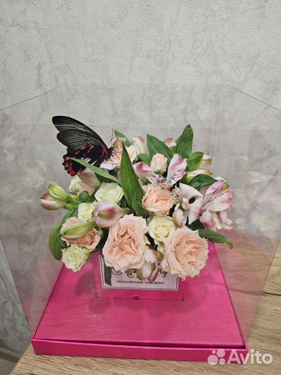 Ферма-бабочек