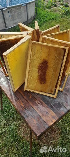 Рамки с сушью