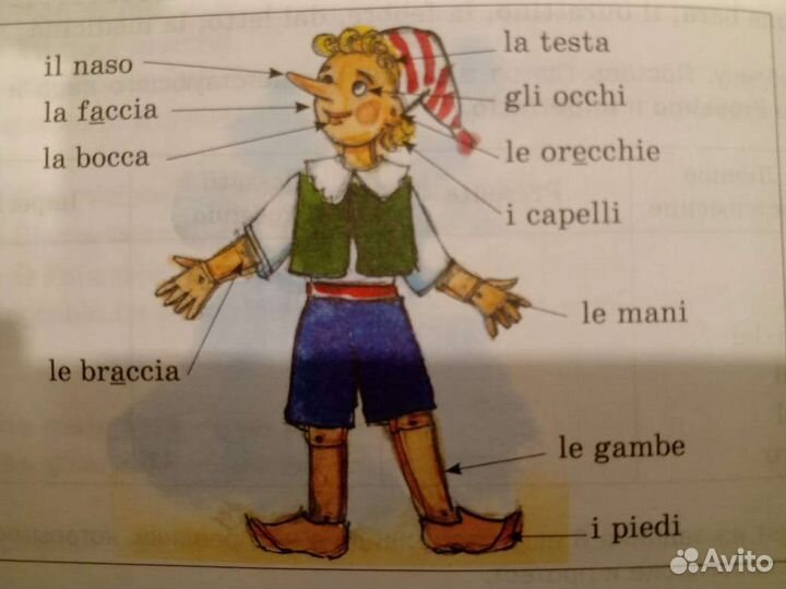 Репетитор по итальянскому языку
