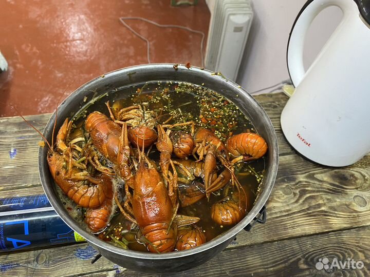 Живые раки