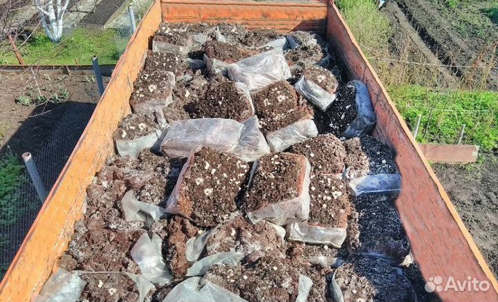 Компост отработанный от шампиньонов