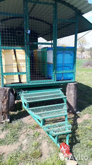 Продам пасеку