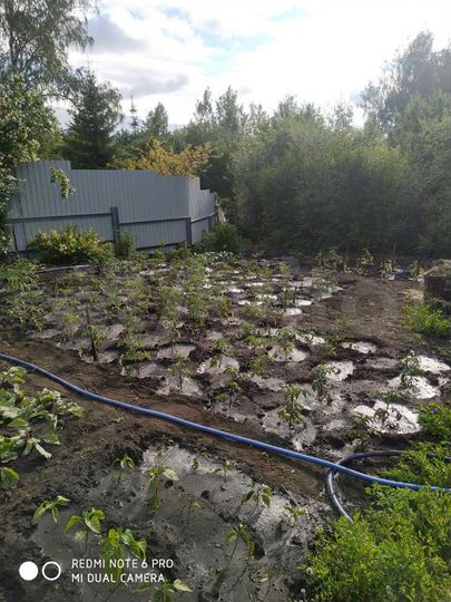 Дача 21 м² на участке 7 сот.