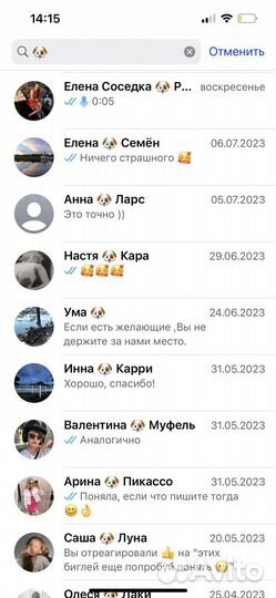 Передержка животных