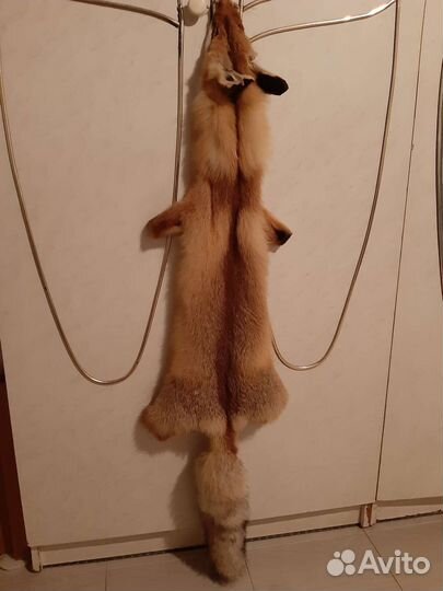 Лисьи шкуры