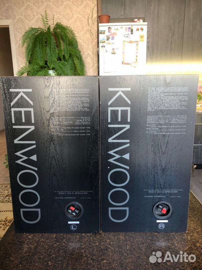 Колонки Kenwood roxy DG 3