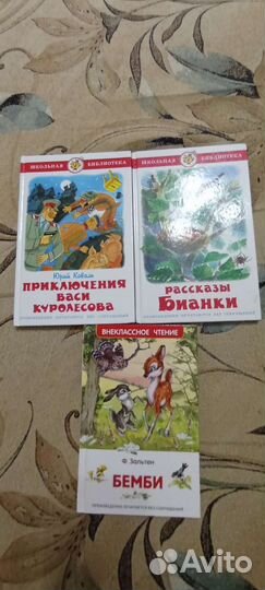 Книги для внеклассного чтения
