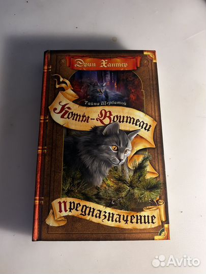 Книги коты воители