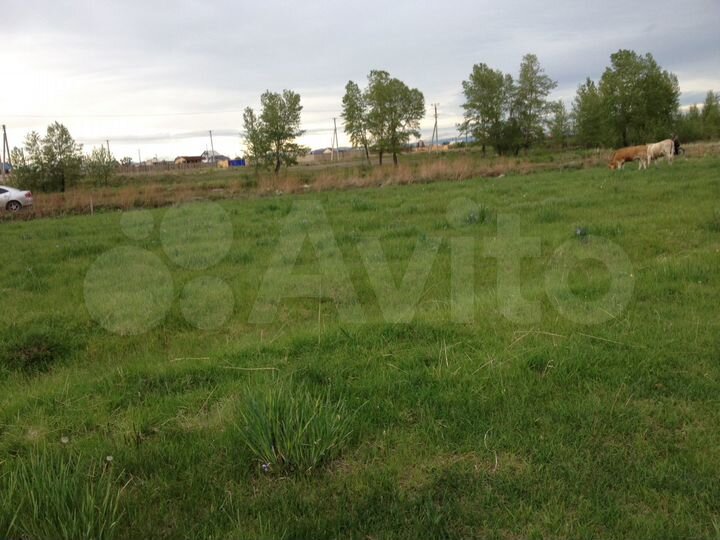 Участок 10 сот. (ИЖС)